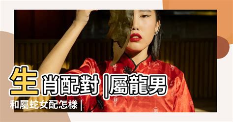 龍男 龍女|屬龍男和屬龍女配嗎